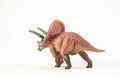 Torosaurus , dinosaur on white background Royalty Free Stock Photo