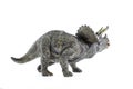 Torosaurus Dinosaur