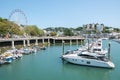 Torquay, outer harbour with boats against a view of the big wheel and Shirley Towers Royalty Free Stock Photo