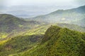 Torre Britton jungle view