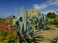 Torre Castillo de dona Blanca and gardens