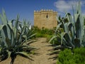 Torre Castillo de dona Blanca and gardens