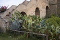 View of Torre Colimena