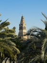 (Torre de Alminar in Mosque Cathedral, Mezquita de Cordoba. Anda Royalty Free Stock Photo