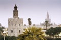 Torre del Oro and Giralda