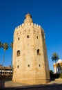 Torre del Oro, Sevilla, Spain Royalty Free Stock Photo