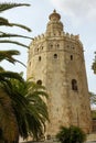 Torre del Oro, Sevilla, Spain Royalty Free Stock Photo