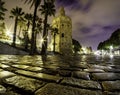 Torre del Oro in Seville, night scene with long exposure photo and low point of view next to the cobblestone ground Royalty Free Stock Photo