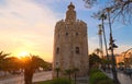 Torre del Oro -Tower of Gold on the bank of the Guadalquivir river, Seville, Spain Royalty Free Stock Photo