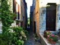 Torre di Palme town in Marche region, Italy. Ancient street, nature and light