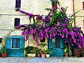 Torre di Palme town in Marche region, Italy. Purple bougainville, ancient azure door and beauty Royalty Free Stock Photo