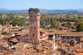 Torre Guinigi in Lucca, Italy Royalty Free Stock Photo