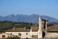 Vineyards in Subirats in Penedes wine region Royalty Free Stock Photo