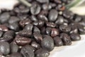 Torrefacto coffee beans on a white wooden table Royalty Free Stock Photo