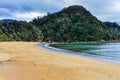 Torrent Bay in Abel Tasman National Park, New Zealand Royalty Free Stock Photo