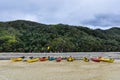 Torrent Bay in Abel Tasman National Park, New Zealand Royalty Free Stock Photo