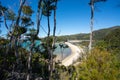 Torrent Bay in the Abel Tasman National Park, on a sunny day in New Zealand Royalty Free Stock Photo