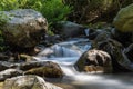 Torrent in a forest in Corsica Royalty Free Stock Photo