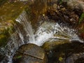 Torrent scour wooden pole