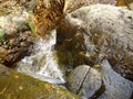 Torrent scour wooden pole