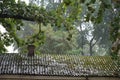 Torrential rain is falling in city Royalty Free Stock Photo