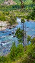 Torrential river in a forest in San Martin de los Andes, Neuquen, Argentina Royalty Free Stock Photo