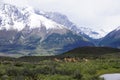 Torres del Paine