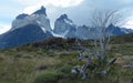 Torres del Paine National Park 13