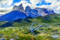 Torres del Paine National Park, Patagonia, Chile Royalty Free Stock Photo