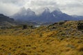 Torres Del Paine, southern Patagonia, Chile Royalty Free Stock Photo