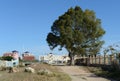 Torrevieja is a Mediterranean city, with a privileged location and the unique climatic conditions. Royalty Free Stock Photo