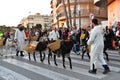 TORREVIEJA, SPAIN Ã¢â¬â JANUARY 5, 2023: Los Reyes Magos parade. Donkeys take part in the Festive cavalcade of Three Magi Cabalgata Royalty Free Stock Photo