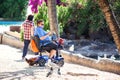 Torrevieja, Spain, 24.05.2021, Woman in electric wheelchair feeding birds in the park. Lifestyle and animal therapy Royalty Free Stock Photo