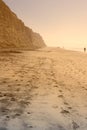 Torrey Pines Beach Royalty Free Stock Photo