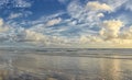 Torrey Pines Beach - San Diego, California, USA. The beautiful Torrey Pines Beach, San Diego, California. Royalty Free Stock Photo