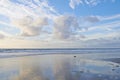 Torrey Pines Beach - San Diego, California, USA. The beautiful Torrey Pines Beach, San Diego, California. Royalty Free Stock Photo