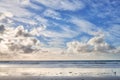 Torrey Pines Beach - San Diego, California, USA. The beautiful Torrey Pines Beach, San Diego, California. Royalty Free Stock Photo