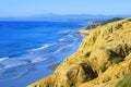 Torrey Pines Beach (Southern California) Royalty Free Stock Photo