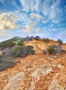 Torrey Pines State and Beach Park - San Diego, California, USA. The beautiful Torrey Pines Park, San Diego, California. Royalty Free Stock Photo