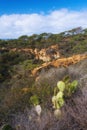 Torrey Pines State and Beach Park - San Diego, California, USA. The beautiful Torrey Pines Park, San Diego, California. Royalty Free Stock Photo