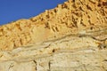 Torrey Pines State Natural Reserve and Beach Royalty Free Stock Photo