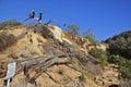 Torrey Pines State Natural Reserve and Beach Royalty Free Stock Photo