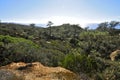 Torrey Pines State Natural Reserve and Beach Royalty Free Stock Photo