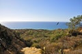 Torrey Pines State Natural Reserve and Beach Royalty Free Stock Photo