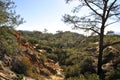 Torrey Pines State Natural Reserve and Beach Royalty Free Stock Photo