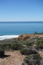 Torrey Pines State Park Royalty Free Stock Photo