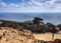 Torrey Pines State Park USA Royalty Free Stock Photo