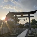 Torri gate shrine in Kyoto