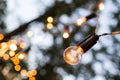 Torse of filament lamp in evening park