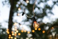 Torse of filament lamp in evening park